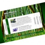 Diseño web Jardineria